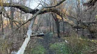 Urban hike along the Speed River trail