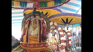 Beautiful Saidapet Karaneeswarar Temple Nandhi Sevai  | சைதாப்பேட்டை காரணீஸ்வரர் அதிகார நந்தி சேவை