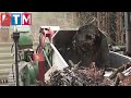 Amazing Wood Chipper Machine Strong Working Skill, Fastest Tree Shredder Destroy Big Tree Equipment