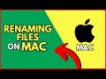 How to Rename Files on Your Mac in Under 5 Minutes