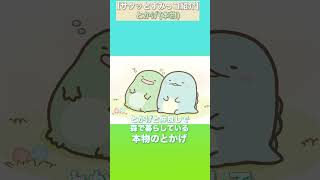 とかげ（本物）をサクッと紹介！【すみっコぐらし】 #Shorts #すみっコぐらし