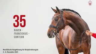 Hauptkörung 2023 Reitpferde Katnr. 35  Raven - Franziskus - Conteur