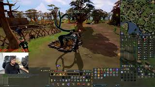How to Farm Fruit Trees RS3! 2024 (Farming Skill)