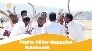 Tapha Qillee Magaalaa Sulultaatti