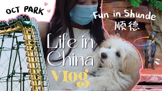 First time visiting Shunde 顺德 | China WTF amusement park 😅