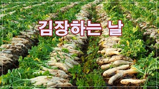 김장하는 날 / 초등음악