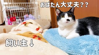 体調不良の飼い主に寄り添ってくれる？猫