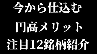 今から仕込む円高メリット注目12銘柄紹介！【マルハニチロ/キリン/王子/キリン/出光興産/日本航空/中部電力】【Vlog】【保有銘柄/投資信託/高配当/株主優待/NISA/決算】【ASMR】