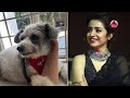 അഭിനയത്തില്‍ ഇനി ഇടവേള പൊട്ടിക്കരഞ്ഞ് തൃഷ trisha krishnan movie news zoro