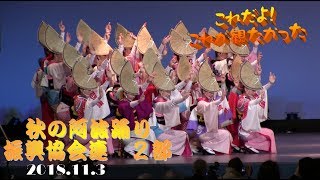 秋の阿波踊り　振興協会連２部　2018 11 3