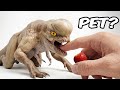 I Got a Pet DISTORTUS REX from Jurassic World Rebirth
