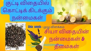 chiya seeds Benefits- சியா விதைகள் சாப்பிடும் முறை