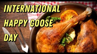 International Happy Goose Day (September 29), Activities and How to Celebrate