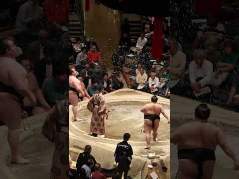 Sumo wrestling l Wrestling l Sports