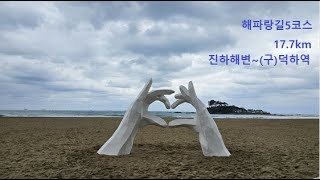 [해파랑길] 5코스 / 진하해변~(구)덕하역 17.7km