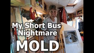 Bus Conversion 2.0 - Mold forces me to rip out the original floor!