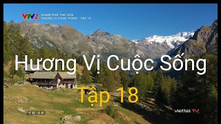 Khám Phá Thế Giới | Hương Vị Cuộc Sống Tập 18