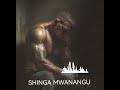 Shinga Mwanangu (Official Audio) 