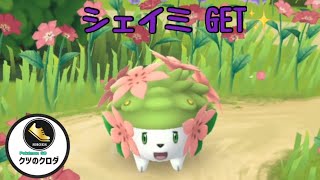 【Pokémon GO】草花と感謝の心 タスク終了‼️ Shaymin GET✨