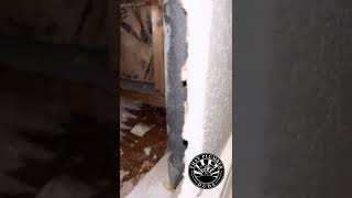 Leak Detection Plumbing Clip