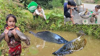 Meet an abandoned puddle with many giant fish. Fish catching skills. Caught many giant fish