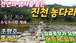 천년의 역사를 지닌 진천 농다리 | 초평호둘레길 산책 | 집중호우가 오면?