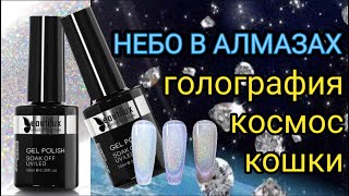 Голографические кошки Шикарный блеск от BeautiLux.