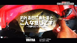 【バスフィッシングで水面爆発】釣れる日にあたるとこんな感じです〜TOPとビックベイト〜