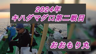 2024年キハダマグロ第2戦！🎣#fishing #釣り  #キハダ #マグロ #海釣り #おおもり丸 #相模湾 #船釣り