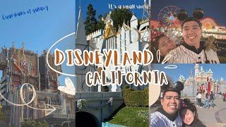 What are the must-see attractions in California Disneyland Theme Park? January 13, 2025 #thebumbums