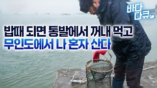 서울에서 떡집 하던 남자가 12년째 홀로 무인도에서 살아가고 있다. 넉넉한 바다 인심에 감사하며 살아가는 무인도의 생활/ #바다다큐