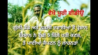 ਕਿਸਾਨ ਨੇ ਗੁੱਲੀ ਡੰਡੇ ਕਰਕੇ ਵੱਢੀ 5 ਕਿੱਲੇ ਕਣਕ