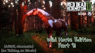 {EP 12} RedM ASMR Trail Rides | Wild Horse Edition pt. 3!!