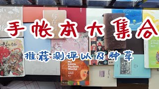 【手账本子盘点】将手帐圈的本子们一网打尽｜各路神仙本子盘点价格纸质和感受｜灯塔TN九口山HOBO德格夫