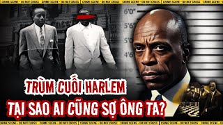 Tại Sao Mafia Ý, Với Hàng Ngàn Tay Súng, Lại Sợ Một Mình Bumpy Johnson? #thanthamtv