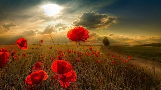 Romantic Saxophone Music for Relaxation