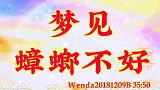 卢台长开示：梦见蟑螂不好Wenda20181209B 35:50