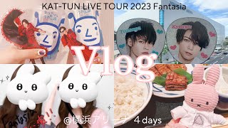 【現場vlog】KAT-TUN LIVE TOUR 2023 Fantasia @横浜アリーナ / ４日間６公演🧸💖 / 大人ジャニオタ