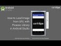 How to Load Image from URL with Picasso Library in Android Studio | Sanktips