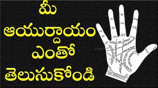 Jeevitha Rekha or Aayushya Rekha  Palmistry Telugu