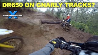 Suzuki DR650 on gnarly enduro tracks? 😂︱Cross Training Adventure