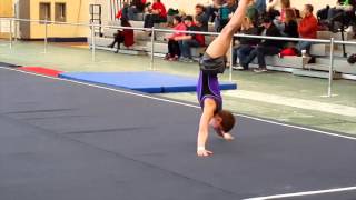 2016 IL State Boy's Gymnastics Championships - Charley Thompson