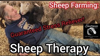 Sheep Farming: Sheep Therapy - Guaranteed Stress Reliever!|April 2022