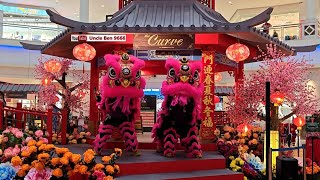 2025 CNY Traditional Lion Dance Performance @ The Curve #吉隆坡光藝龍獅體育會