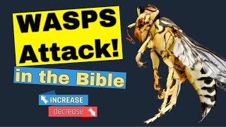 Wasp Attack!  //  8(ish) Minutes With Animals in the Bible