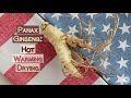 what is american ginseng most prized uses how it s different than asian