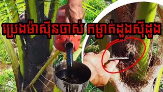 តាមពិតប្រេងម៉ាស៊ីនចាស់ៗ អាចយកមកធ្វើជាថ្នាំងពុលកម្ចាត់ដួងស៊ីដើមដូង យ៉ាងមានប្រសិទ្ធភាព