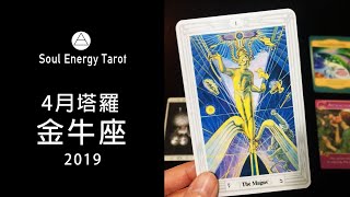 金牛座4月整體+愛情塔羅占卜❤️2019