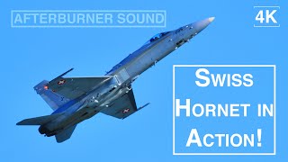 Afterburner Sound! Amazing Swiss F-18 Hornet Pushed to its Limits