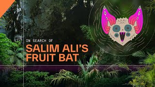 In search of Salim Ali's Fruit Bat | Nature in the Western Ghats | On the Edge